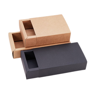 Custom Printed Kraft Boxes-6